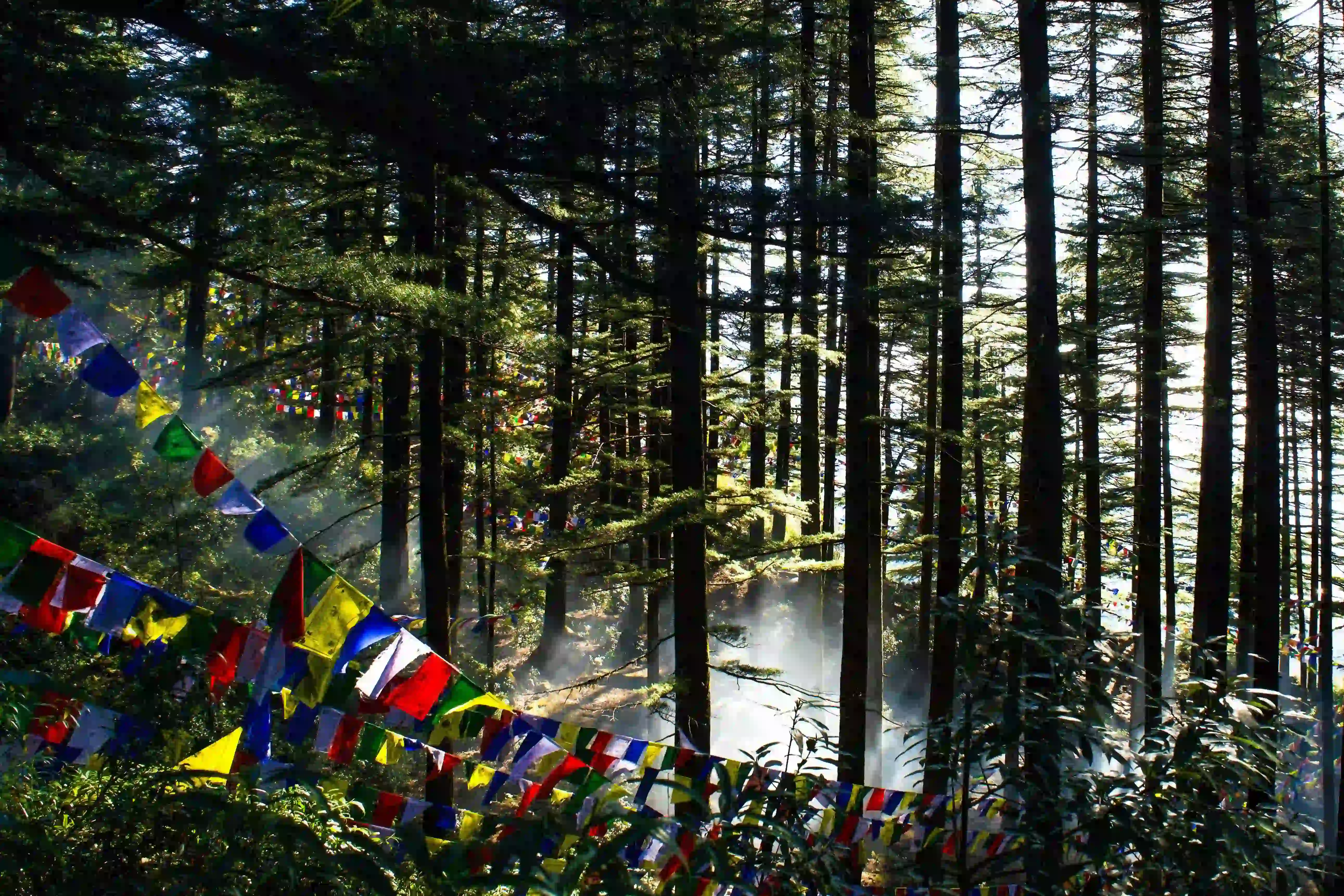 Custom North-East Trip Background