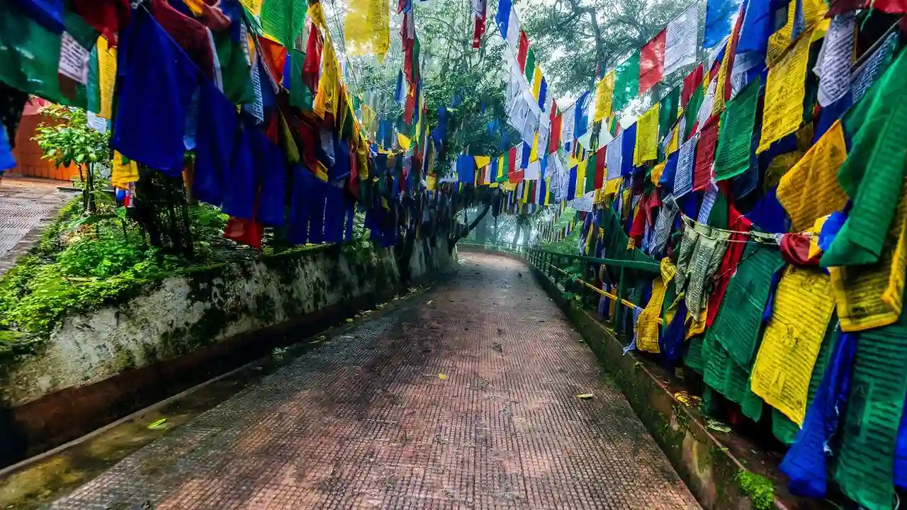 Sikkim & Darjeeling Tour